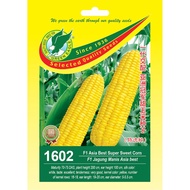 Benih Jagung Manis - Green Eagle 1602 F1 Hibrid Jagung Manis Asia Best