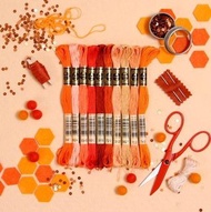 現貨DMC 繡線 25號 橙色組 Embroidery Floss Orange Palette art.117 十字繡 刺繡 縫紉 布藝 鉤織 thread crochet cross stitch Needlework
