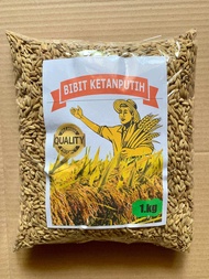 Bibit ketan putih ketan grendel 1kg