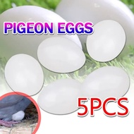 5pcs Pigeon False Eggs Solid Fake Egg Dove Dummy Eggs Hatching Eggs Trick The Birds