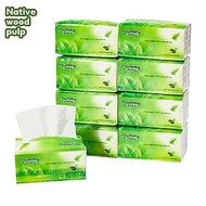 8 Packs TETO 3-Ply Facial Tissue Paper Towel – Soft Organic Tissue