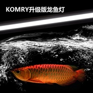 Arowana Tank Tri-Base Color RGB Light Diving Light Amphibious Light Arowana Zeng Yan Call Color Aqua