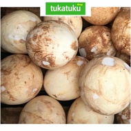 KELAPA PARUT MUDA BESAR SEGAR (1 BUTIR)