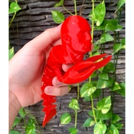 Flexi 3D printed model - The Rock head lobster