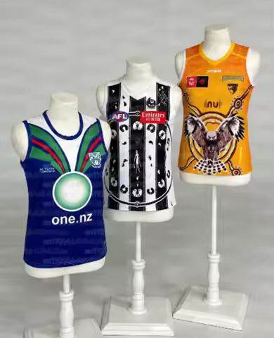 Australia 2526 New Aussie Rules Football AFL Jersey Vest Geelong Cats 3D Printed Quick-dry Mens Wome
