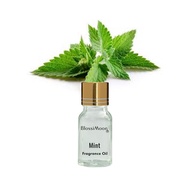 Mint Fragrance Oil Concentrate