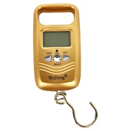 WeiHeng 迷你便攜手提彈簧秤 100g  1個