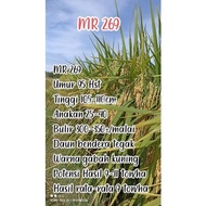 MR 269 rice seeds, 1KG packaging