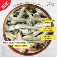 🐋 Ikan Bilis Pangkor Ikan Bilis Belum Kopek 1kg 3-4cm Ikan Bilis Mata Biru Belum Kopek Ikan Bilis Mu