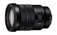 彩色鳥(租鏡頭 租攝影機 租相機)Sony E PZ 18-105mm F4 G OSS NEX6 NEX5N 