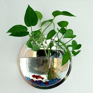 Aquarium Dinding, Aquarium Bulat, Aquarium Unik, Aquarium Minimalis,