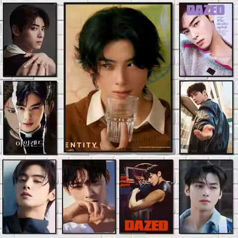 Cha E-EunWoo Painting Calligraphy Canvas Poster: Crease Free Waterproof Durable All Space Wall Decor