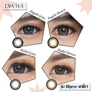 Angel zone รุ่น Angelo Mabel สีน้ำตาล สีเทา คอนแทคเลนส์รายเดือน ขนาดเท่าตา คอนแทคเลนส์ Angelzone ang