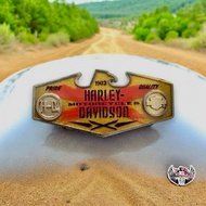 210008 H-D Pride Quality Pin