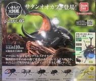 甲蟲模型 甲蟲扭蛋 bandai 昆蟲玩具