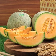 MELON ORANGE SUNPRIDE / ROCK MELON / MELON MANIS KRIUK