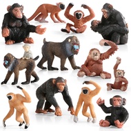 animal monkey orangutan gibbon lemur gorilla early education model children cognitive toys simulatio