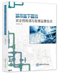 城市地下管線安全性檢測與智慧運營技術 任寶宏 2021-4-20 中國海洋大學出版社