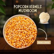 POPCORN KERNEL/ BERTIH JAGUNG WAYANG / POP CORN SEASONING  - MUSHROOM / BUTTERFLY  - 100G | 200G