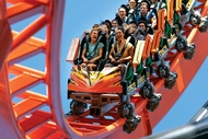 Busch Gardens Tampa Bay Admission