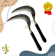 ARIT RUMPUT DAN PADI PER BAJA