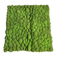 MOSS STONE/MOSS GREEN ARTIFICIAL MOSS/WF STONE SHEET