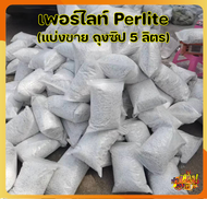 【แบ่งขาย ถุงละ5ลิตร】 เพอร์ไลท์(Perlite) 3-6mm. ผสมดินและวัสดุปลูก บอนไซ แคคตัส ไม้อวบน้ำ กระบองเพชร