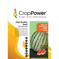 Benih Tembikai Merah WM121 King Sabah F1 Hybrid Watermelon Crop Power - ( 200g ) 👍 💯