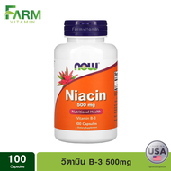 NOW Foods, Niacin B3, 500 mg, 100 Capsules