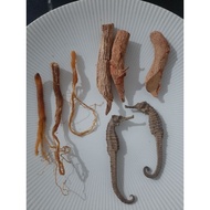 MERAH Korean red ginseng root 3 + KL Hai Ma 2pcs red stick root 3pcs