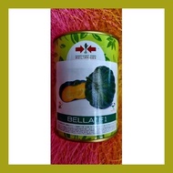 ❐ △ ♨ SQUASH HYBRID/ PUMPKIN SEEDS BELLA F1 50GRMS VEGETABLE SEEDS EAST-WEST