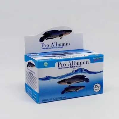 Kapsul ikan gabus (kutuk) / ekstrak ikan gabus Pro Albumin