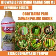 {PUPUK MURAH} PESTISIDA BIOWASIL OBAT HAMA PADI SAWAH PALING BAGUS - Pestisida Padi Terbaik Atasi Hama Tanaman Padi - Insektisida Organik Pembasmi Wereng Belalang Pada Tanaman Padi Pupuk Semprot Hama Ulat Daun Padi Pupuk Hama Merah Padi