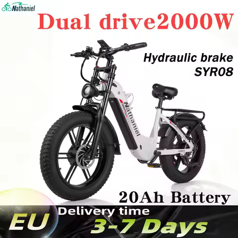 Nathaniel SYR08 City Commuting E-Bike,Dual Motor 2000W,20x4.0 Integrated Wheel,48V20AH,Speed 50+, Sn