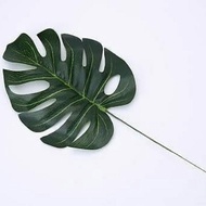 Daun Monstera Tiruan, Artificial Monstera, Monstera Imitasi