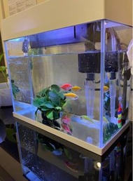 Fish tank complete starter pack mini aquarium 魚缸