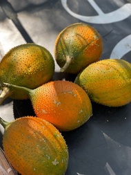 有機木鱉果 (天堂果)