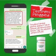 ORIGINAL HQ GOLAC GASTROVENGERS SUPPLEMENT PROBIOTIC PREBIOTIC FOR GASTRIK & GERD
