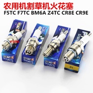 Motorcycle Spark Plug BM6A/Z4C/F7TC/F5TC/CR8E/CR9E Motorcycle Spark
