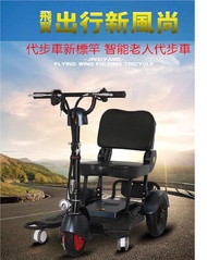 小型折疊電動三輪車 成人家用旅遊代駕 老人智能代步車電動車 代步車