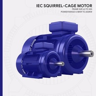 TRI ( IE2 ) 0.25hp ( 0.18kw ) 4pole ( rpm1320 ) x 3phase Aluminium Foot Mounted B3 IP55 415v/50hz TR