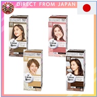 Liese from Japan Kao RENEWED EDITION Japan Original Bubble Colouring Natural Colour Series Hair Colouring【Direct from Japan】