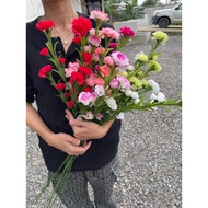 Carnation Spray Long Stem Fake Carnations Fabric Flower Artificial