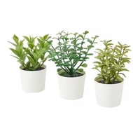 FEJKA Artificial potted plant with pot, set of 3, indoor /outdoor herbs 5 cm