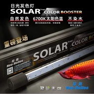 Neo Helios Solar Color Booster Light aquarium for arowana Display and Tanning