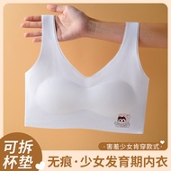 [All Good Products] Adolescent Girls Underwear Developmental Vest 12-16 Years Old Big Kids Junior Hi