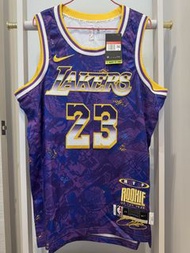 Nike NBA Lakers LeBron James #23 Select Jersey Size 48 L