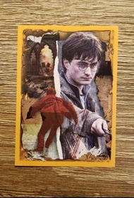 Harry Potter 哈利波特 電影貼紙：048（哈利）