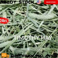 Penang TIMOTHY HAY 500g / 1kg Rabbit / Guinea pig Jerami Timothy