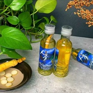 长白山参酒东北特产白酒52度125ml*10瓶 吉林小酒人参酒Changbai mountain ginseng liquor northeast specialty liquor 52 degree